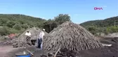 ÇANAKKALE Ekmeklerini mangal kömürü yaparak kazanıyorlar