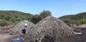 Geçimlerini mangal kömürü yaparak sağlıyorlar - ÇANAKKALE