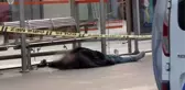 İstanbul güne bu manzarayla uyandı! Beyazıt tramvay durağında erkek cansız bedeni bulundu