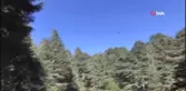 Kayıp dağcıya annesi drone ile 'dön' çağrısı yaptı