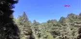 MUĞLA Fethiye'de, 14 gündür kayıp olan dağcının cansız bedenine ulaşıldı