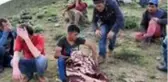 Bitlis'te çobanlık yapan 3 çocuk babası, yıldırım çarpması sonucu vefat etti