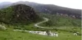 Arıcılar, bölgeye gelen tilkiyi elleriyle besliyor
