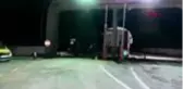 KIRKLARELİ-Aylarca gemilerde mahsur kalan Türkler, ülkeye döndü