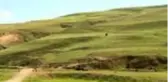 Silahlı kavga: 5 ölü, 1 yaralı (5)