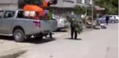 Sinop zeytini canlanıyor