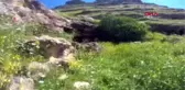 Derik'te PKK operasyonu: 9 gözaltı