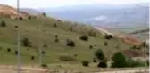 Kaymakam Keleş ve Belediye Başkanı Demirbaş'tan, Hayvancılık İhtisas Bölgesine ziyaret