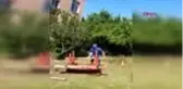 KOCAELİ Mahalledeki kişiyi darbeden muhtar: Tapulu arazime park kurdular