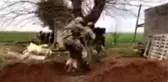 Terör örgütü PKK'ya yönelik operasyonda 9 şüpheli gözaltına alındı