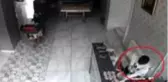 100 iş yerini soyup serbest kalan 12 yaşındaki hırsız, bu kez de 14 iş yerini soydu