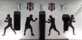 Beşiktaş'ın boks ve güreş şubeleri Park'taki yeni yerinde faaliyet gösterecek