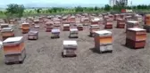 MŞÜ'den tarım ve hayvancılığı geliştirme çalışması