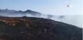 Son Dakika: Bodrum'da korkutan yangın