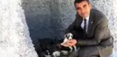 Çiftlik Belediye Başkanı Serkan Güzel, kullanılmayan araziye 65 oyuk açtırarak 'Köpek Köyü' kurdu