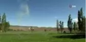 Cumhurbaşkanı Erdoğan: 