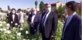 Fotoğraf tutkunları 