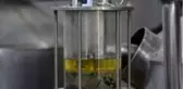 4 ton gül yaprağından 1 kilo üretilen gül yağının kilosu 46 bin liraya satılıyor