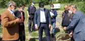 Rize'nin İkizdere ilçesinde dağ kekiği hasadına başlandı