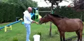Sokakta bulduğu atı evine getirdi