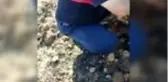 Son dakika haber! Alevlerin arasında kalan kaplumbağa, itfaiye ekiplerince kurtarıldı - MUĞLA