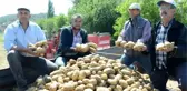 'Beyaz altın' yerine patates ekimiyle kazançları arttı