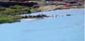 ŞIRNAK Dicle Nehri'nde akıntıya kapılan 2 kardeşten biri öldü, diğeri kayıp