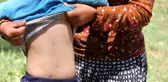 Türkiye, çekirge istilası beklerken Sivas'ın Zara ilçesinde 6 köyü tırtıl bastı