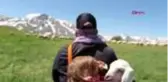 Erzincan'da yaz ayları ile birlikte yaylalar şenlendi
