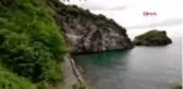Koronavirüs Hoynat Adası'ndaki kuşlara yaradı