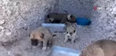 Belediye başkanından anlamlı kampanya