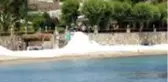 Plajlara serilen kuvars tozu deniz çayırlarını yok ediyor