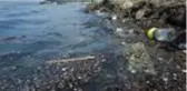 Küçükçekmece Gölü'nden yükselen kötü koku vatandaşları rahatsız ediyor