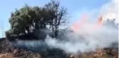 Yangında yaklaşık 50 dönümlük bağ ve zeytinlik hasar gördü