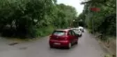 BELGRAD ORMANI'NA PİKNİKÇİ AKINI