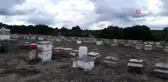 Gezgin arıcılar Emet'te buluştu