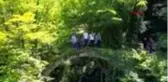 Artvin'de tarihi kemer köprü turizme kazandırılacak