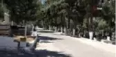 Mezarlıkta alacak verecek kovalamacası ölümle bitti