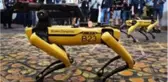 Boston Dynamics'in robot köpeği Spot satışa çıktı