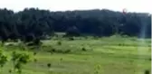 Gölcük Yaylası'nda öncelik doğa