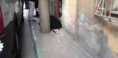 Aralarında husumet bulunan iki grup arasındaki silahlı kavgada öldü, sinir krizi geçiren eşinin o...