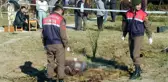 Film gibi hikaye! Jandarma, kırık bir cam parçasından 18 yıllık cinayeti çözdü