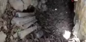 Mehmetçik teröristlerin inlerini bir bir imha ediyor