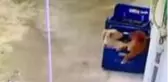 Sevecekmiş gibi yanına çağırdığı sevimli hayvanı böyle çaldı