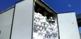 Türk polisi 