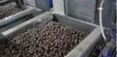Son dakika haberi: Bayraktar: 
