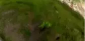 İrtifa kaybeden paraşütçü bir fabrikanın çatısına indi