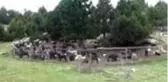 Karakeçili yörük kadınların zorlu yayla mesaisi