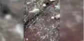 Komandolar mayın ve EYP'leri etkisiz hale getirmeye devam ediyor