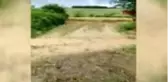Tekirdağ'da dolu yağışı ekinlere zarar verdi-1